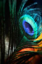 555 - садо мазо в Одессе