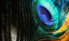 555 - садо мазо в Одессе